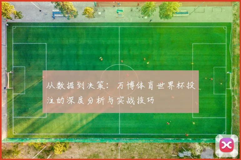 从数据到决策：万博体育世界杯投注的深度分析与实战技巧