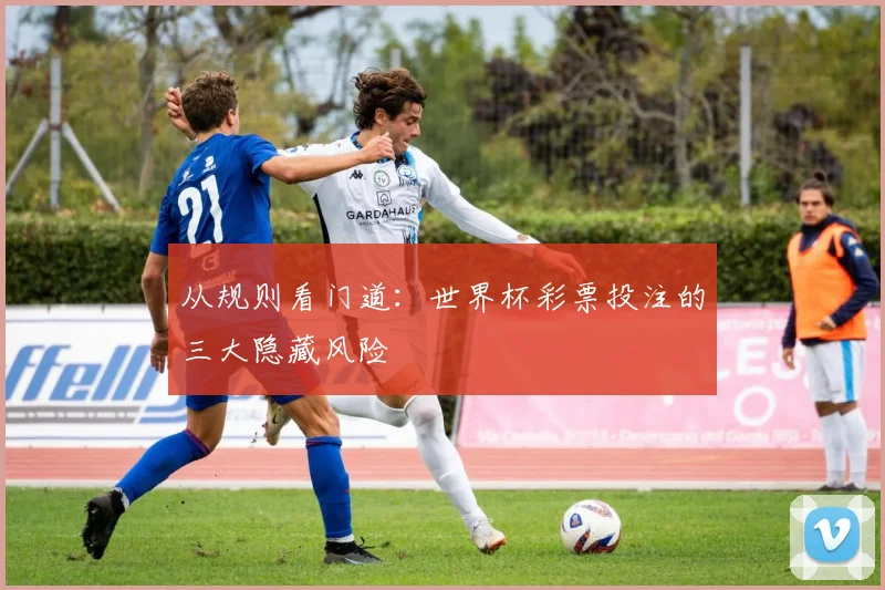 从规则看门道:世界杯彩票投注的三大隐藏风险